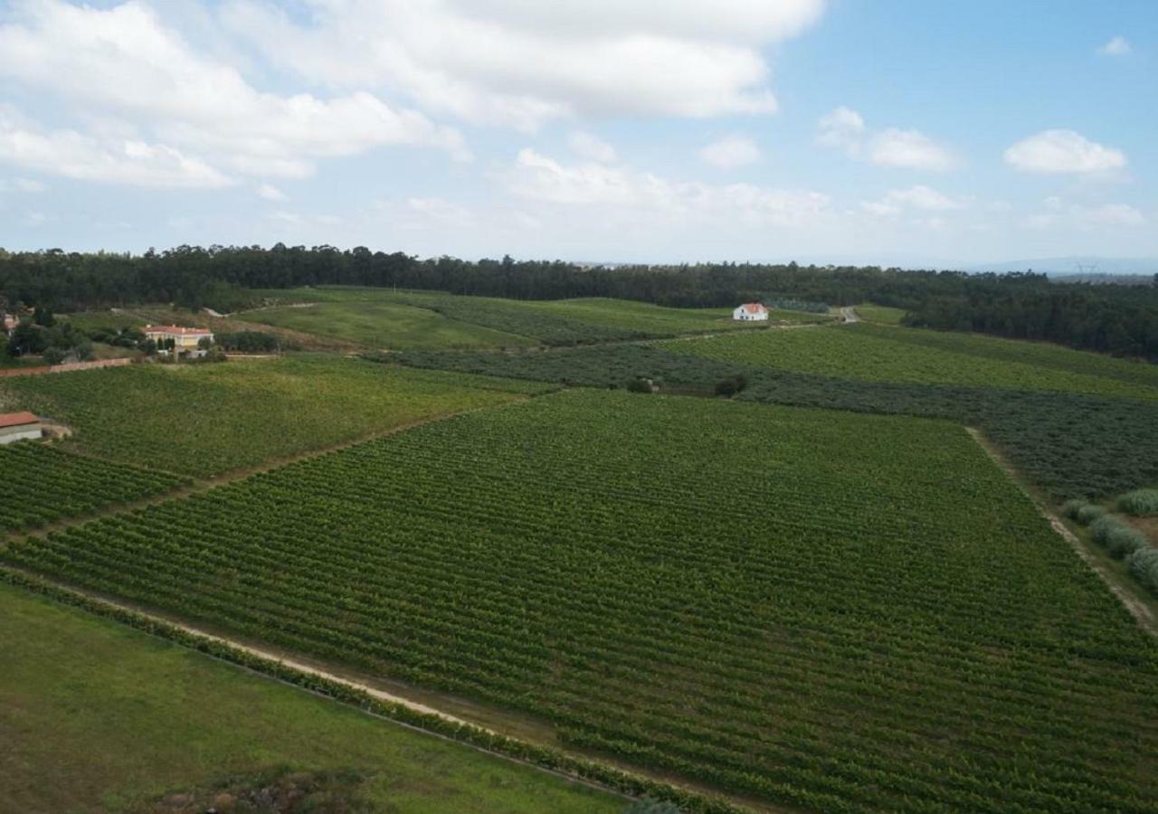 Quinta Da Fogueira Villa Anadia Bagian luar foto